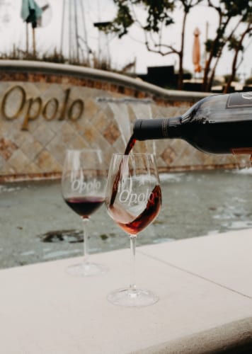 Opolo Summit Creek Zinfandel-California Red Wine Perspective: top