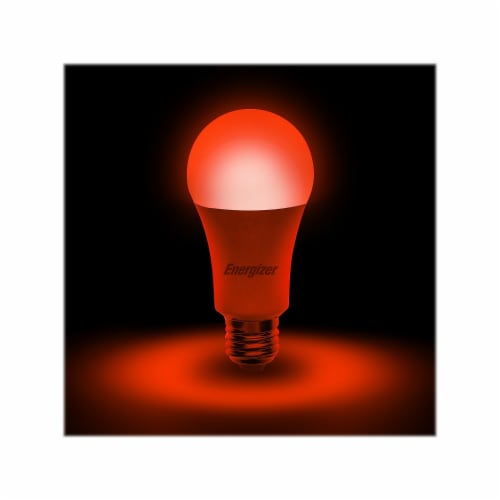 Energizer Connect Smart LED Bulb White and Multi-Color A19 (EAC2-1002-RGB) ENRGA19RGBWHT Perspective: top
