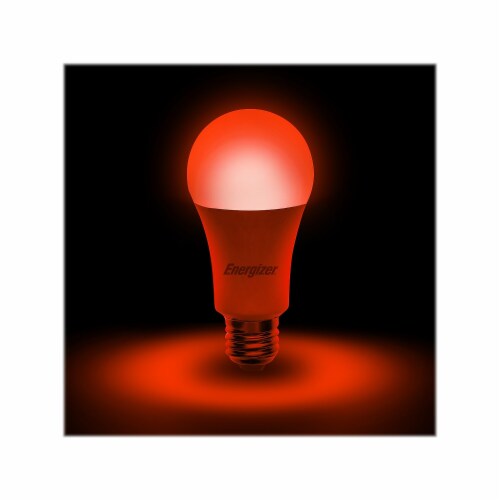 Energizer Connect Smart LED Bulb White and Multi-Color A19 (EAC2-1002-RGB) ENRGA19RGBWHT Perspective: top