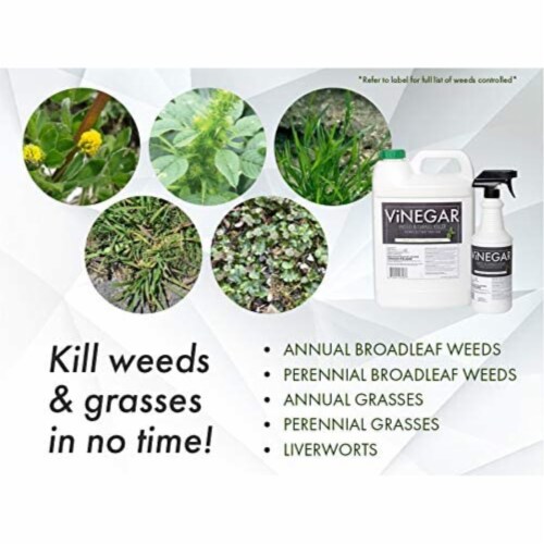 Evergen 5034761 1 qt. Weed & Grass Killer 20 Percent Vinegar, 1 Kroger