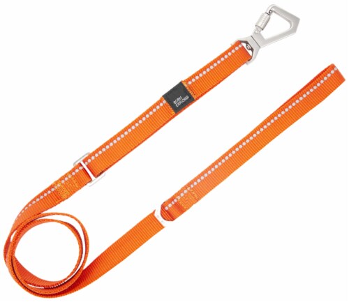 Pet Life Advent Outdoor Series Reflective Durable Martingale Training Dog Leash and Collar Perspective: top
