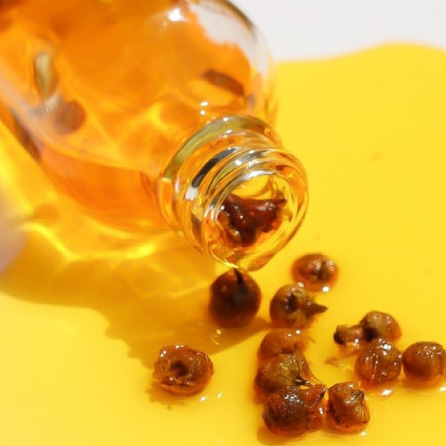 Teami® Repair Tea Infused Facial Oil Perspective: top