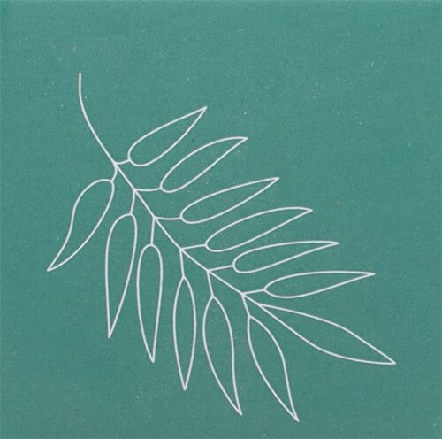 CocoKind Chlorophyll Discoloration Serum Perspective: top