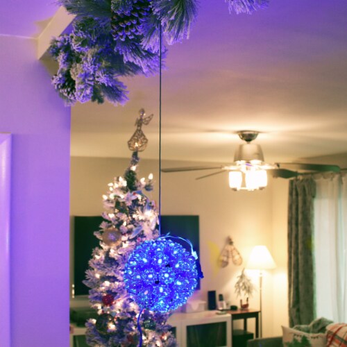 50 LED Hanging Lighted Ball Blue Indoor Outdoor Round Electric Decor Perspective: top