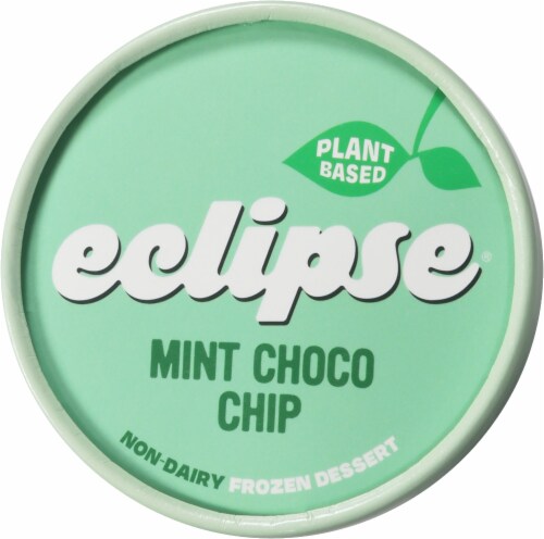 Eclipse® Mint Chip Non Dairy Frozen Dessert Perspective: top