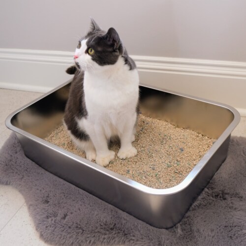Midlee Stainless Steel Cat Litter Box- XL Size- 23.5 x 15.5 x 5.75, 1