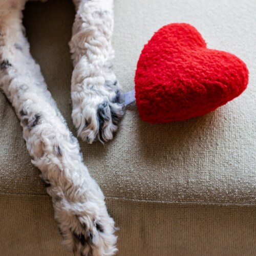 Midlee Plush Red Heart Valentine's Day Dog Toy (Large) Perspective: top