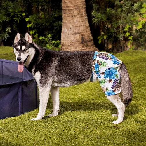 Midlee Blue Hibiscus Hawaiian Dog Board Shorts (XXX-Large) Perspective: top