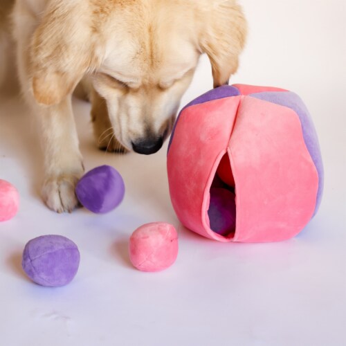 Midlee Hide A Ball Dog Toy - Pink/purple : Target