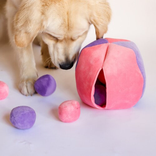 Midlee Hide a Ball Dog Toy - Pink/Purple (Large) Perspective: top