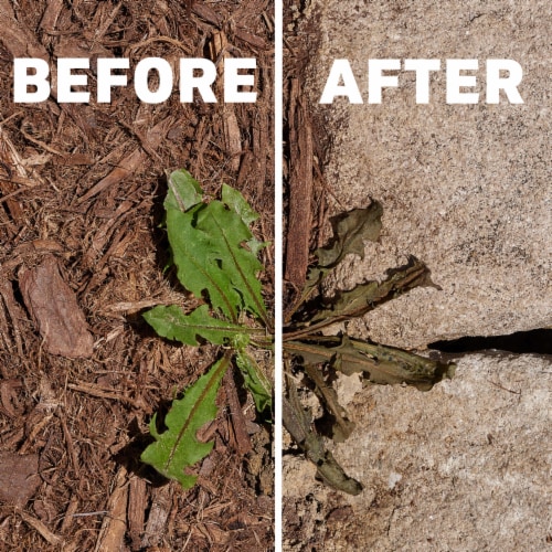 Spruce Weed Killer and Grass Killer Powered Starter Kit Perspective: top