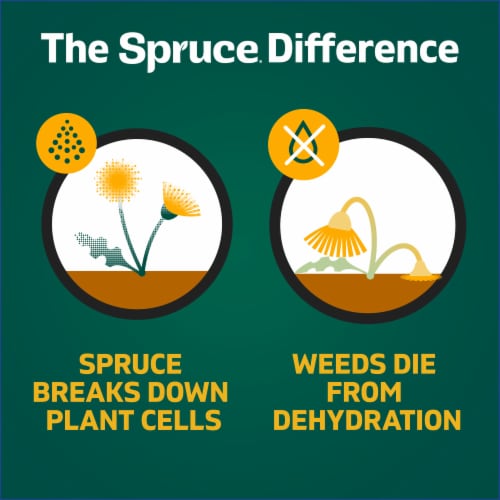 Spruce Weed Killer and Grass Killer Trigger Spray Perspective: top