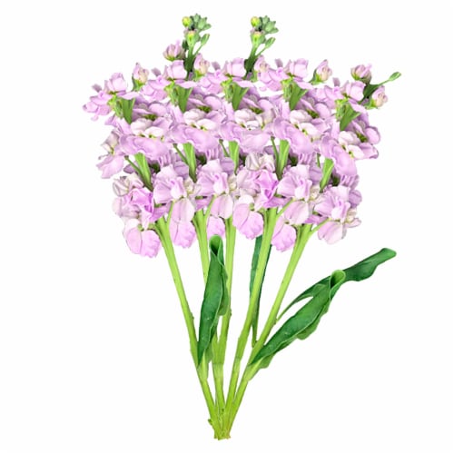 Premium Linear Flower Bunch Perspective: top
