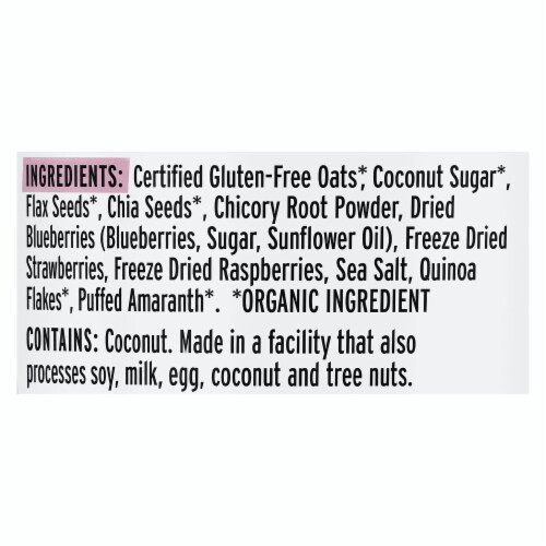 Purely Elizabeth - Oatmeal Cup Mixed Berry 1.76 oz (Pack of 12) Perspective: top