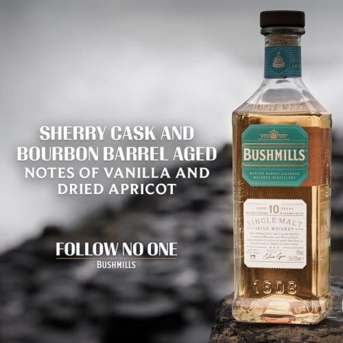 Bushmills 10 Year Irish Whiskey Perspective: top