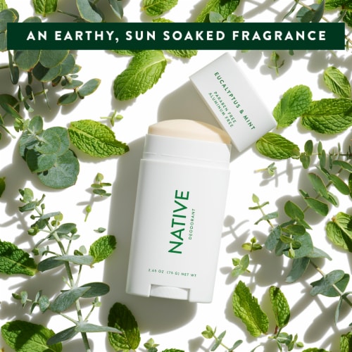 Native  Eucalyptus & Mint Natural Deodorant Perspective: top