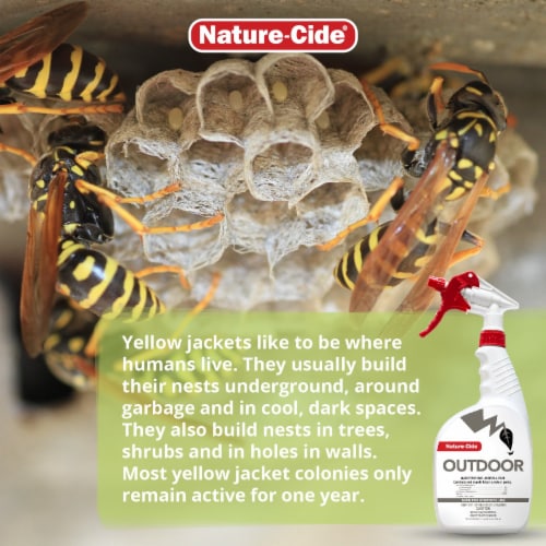Nature-Cide Outdoor Insecticide & Repellent - Natural Roach, Spider, Mosquito, Ant Spray Perspective: top