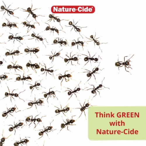 Nature-Cide All-Purpose Insecticide - Natural Roach, Spider, Mosquito and Ant Spray Perspective: top