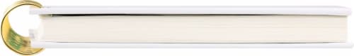 DesignWorks Ink Diamond Spiral Notebook Perspective: top