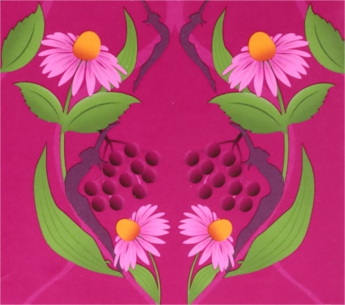 Pukka Organic Elderberry & Echinacea Fruit Tea Bags Perspective: top