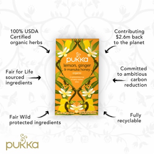 Pukka Lemon Ginger & Manuka Honey Organic Herbal Tea Perspective: top