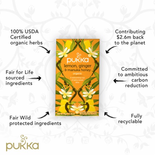 Pukka Lemon Ginger & Manuka Honey Organic Herbal Tea Perspective: top