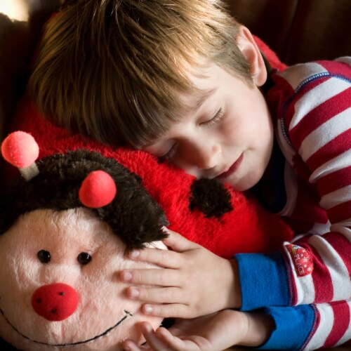 Pillow Pets Original Ladybug Plush Toy Perspective: top
