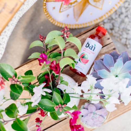 Bai® Antioxidant Infused Kula Watermelon Flavored Bottled Water Perspective: top