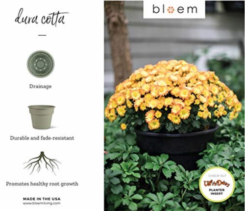 Bloem DC16-45 16 in. Dura Cotta Planter, Chocolate Perspective: top