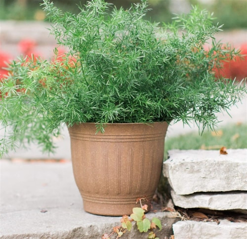 Bloem CLN12-43 12 Colonnade Wood Resin Planter, Dark Earth Perspective: top