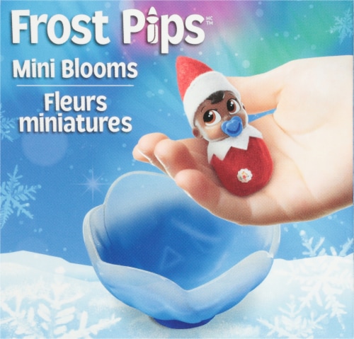 Elf On The Shelf Frost Pip - Brown Eyed Boy Perspective: top