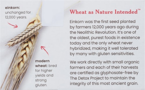 Jovial 100% Organic Einkorn Wheat Berries Perspective: top