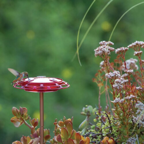 More Birds® Hummingbird Plastic Nectar Feeder Perspective: top