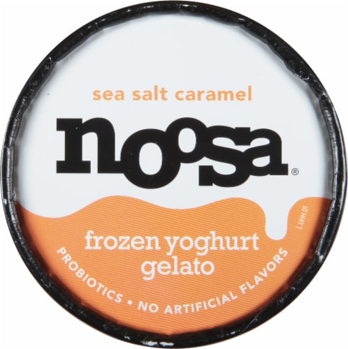 Noosa Sea Salt Caramel Frozen Yogurt Gelato Perspective: top