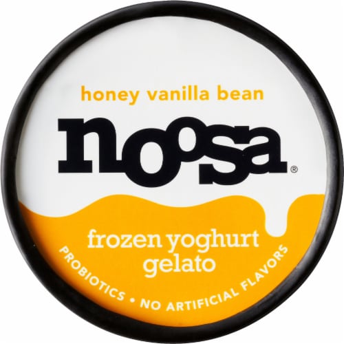 Noosa Honey Vanilla Frozen Yogurt Gelato Perspective: top