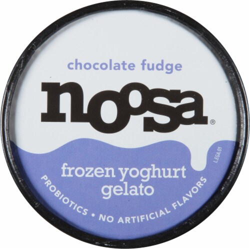 Noosa Chocolate Fudge Frozen Yoghurt Gelato Perspective: top