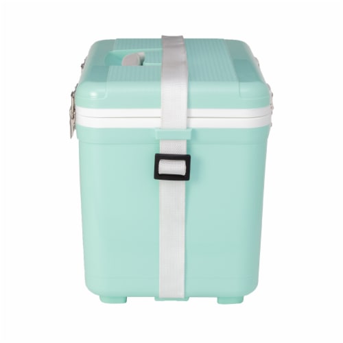ENGEL 13 Quart 18 Can Leak Proof Odor Resistant Insulated Cooler Drybox, Seafoam Perspective: top