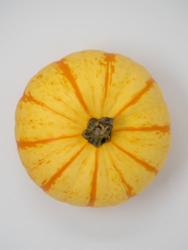 Pumpkin Patch Pals Royalty Ornamental Pumpkin Perspective: top
