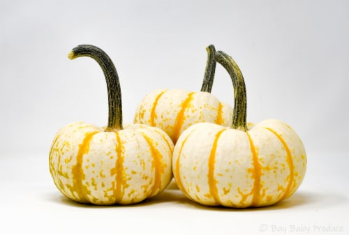 Pumpkin Patch Pals Tiger Stripe Ornamental Pumpkin Perspective: top