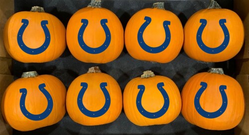 Pumpkin Patch Pals Painted Sports NFL Colts Pumpkin - Each Perspective: top