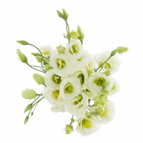 Lisianthus Seasonal Super Bloom Flowers Perspective: top