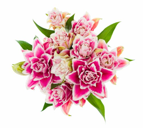 Rose Lily Bouquet Flowers 2 Stem Perspective: top
