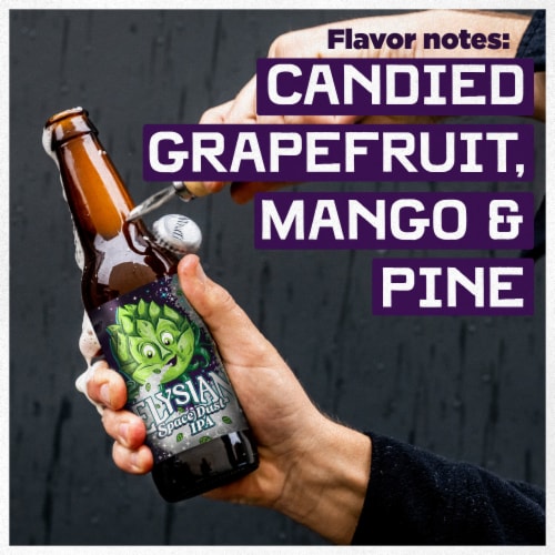 Elysian Space Dust Craft India Pale Ale Beer Perspective: top