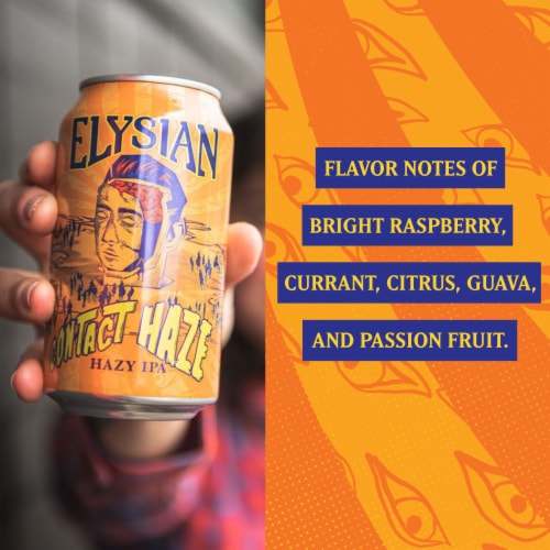 Elysian Brewing Contact Haze Hazy IPA Beer Perspective: top