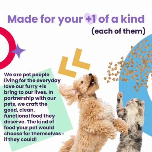 I and Love and You Feed Meow, Shine Formula with Salmon and Tuna, 3 oz Perspective: top