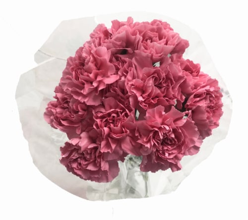 12 Stem Carnation Bunch Perspective: top