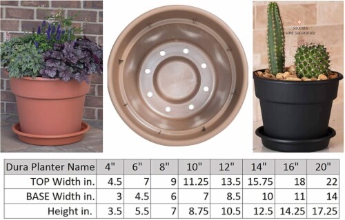 Bloem RCDC846 Bloem 8 in. Dura Cotta Planter Terra Cotta DC8-46 Perspective: top