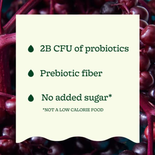 Suja Organic Gut Health Elderberry Ginger Cold Pressed Juice Drink Perspective: top