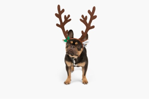 Reindeer antlers discount near me