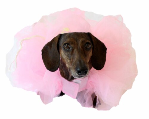 Midlee Loofah Dog Halloween Costume (Medium, Pink) Perspective: top